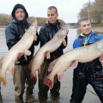 © Site de pêche Lacustra Étang de la Ramade - SARL La Ramade Vacances