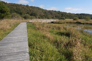 © ENS Marais de Saint-Pierre le Chastel - Office de Tourisme des Combrailles