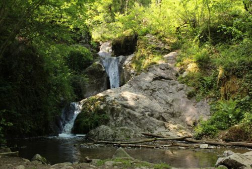 Les trois cuves de Chambonnet