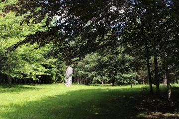 © Menhir du bois des Brosses - OT Combrailles