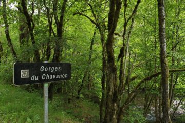 © Gorges du Chavanon - OT Combrailles