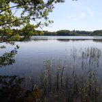 © Étang de Chancelade - Département Puy-de-Dôme