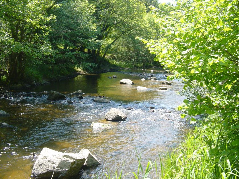 © Circuit Poussette Les Gorges du Chavanon - OT Combrailles