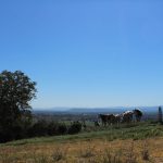 © Rando de la Morge au Puy de Loule - OT Combrailles