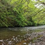 Circuit poussette - Les Gorges du Chavanon