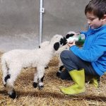 © Ferme pédagogique et balade avec un âne - Marine Bellumori