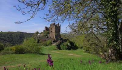 Château Rocher