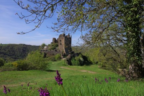 Château Rocher