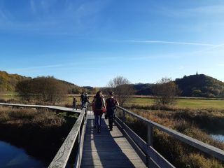 © Balade dans le Marais de St Pierre le Chastel - OT Combrailles