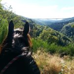 © Balade à cheval - La Ferme de la Marinette - La Ferme de la Marinette