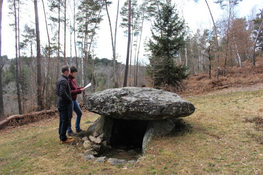 © Dolmen de la Pierre Fade - OT Combrailles