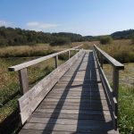 © Butte et marais de Saint-Pierre-le-Chastel - Sandrine BOUTONNET