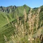 © Réserve naturelle de Chastreix Sancy - DR Office de tourisme du Sancy