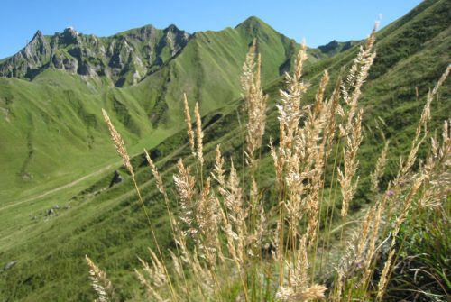 Réserve Naturelle de Chastreix-Sancy