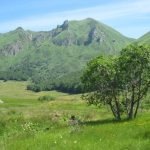 © Réserve naturelle de Chastreix Sancy - DR Office de tourisme du Sancy