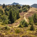 © Puy des Gouttes - OT Terra Volcana - David Frobert