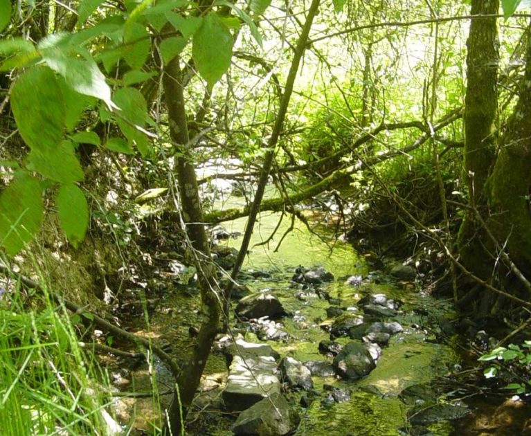 © Site de pêche le Chavanon - OTCombrailles