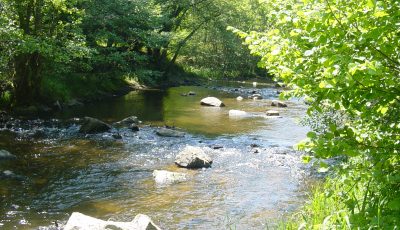 Gorges du Chavanon