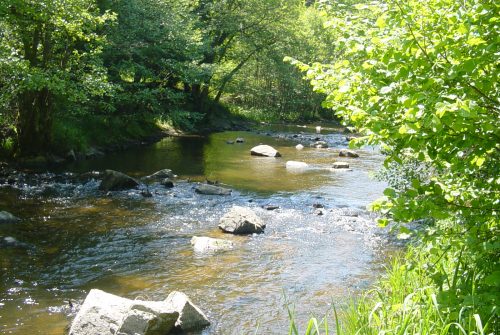 Gorges du Chavanon