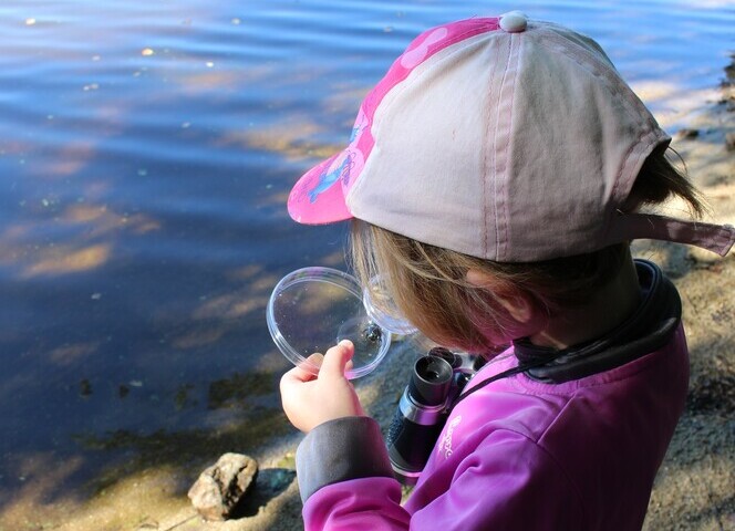 Activités ludiques découverte nature