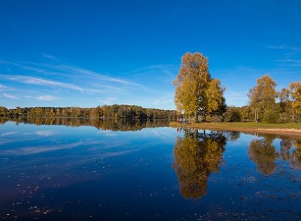 Les Combrailles en automne