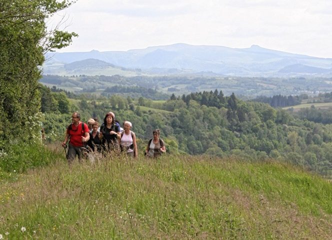 Randonnées organisées